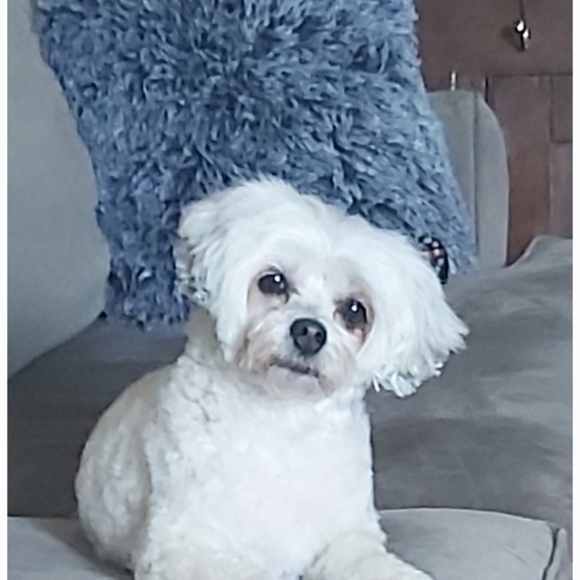 Meet your Posher, Tammy - Picture 1 of 1